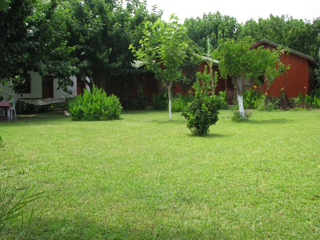 Alibaba Pension Çıralı Habitación foto
